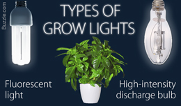 Types of grow lights