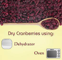 How to dry cranberries