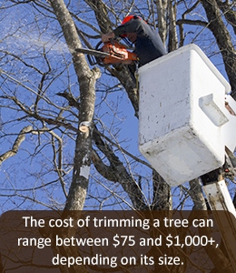Tree trimming cost