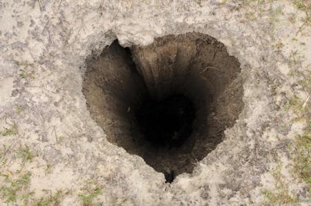 Deep Planting Hole