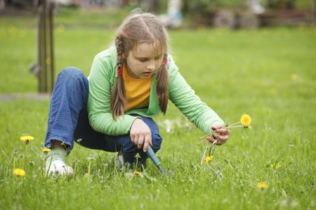 Little girl in lawn