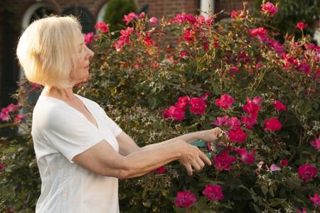 Senior woman in garden