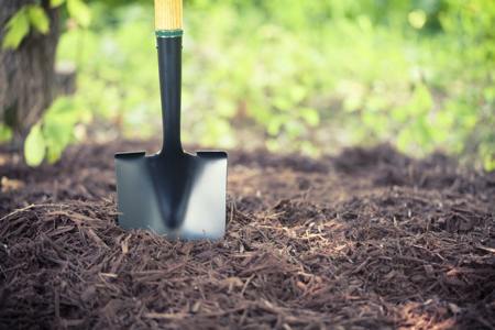 Shovel in mulch