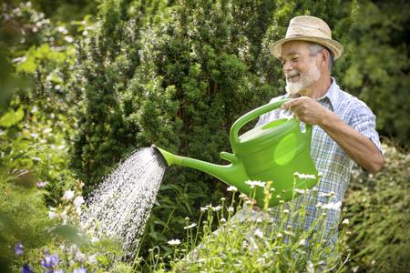 Older man watering plants