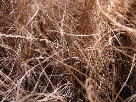 coconut fiber or coir