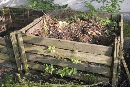 composted manure