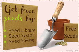 Easy way to get free seeds for your garden