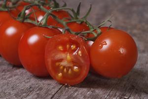 seed saving tomatoes