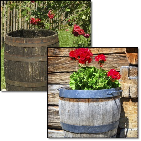 wine barrels