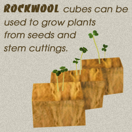 How to grow rockwool cubes