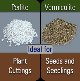 Comparison between Perlite and Vermiculite