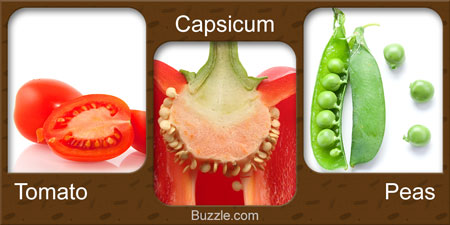 Seeds for Growing Vegetables - Tomato, Capsicum, Peas