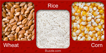Seeds to grow Cereal plants - Wheat, Rice, Corn