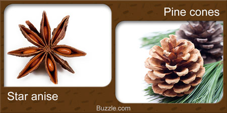 Star anise, Pine cones