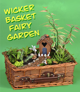 Fairy garden idea
