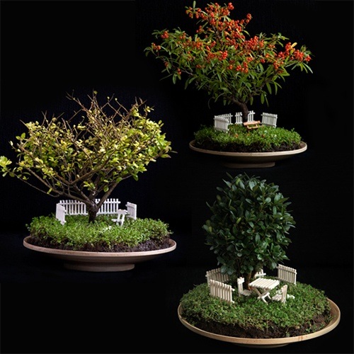 Bonsai Fairy Garden