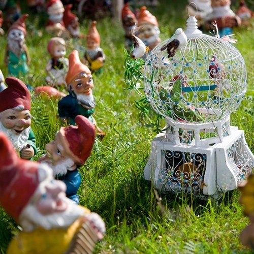 Gnome Garden