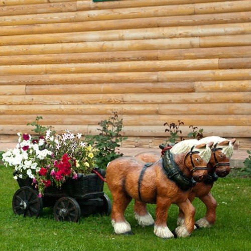 Horse Carriage Garden