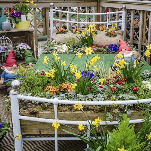 Table top Garden