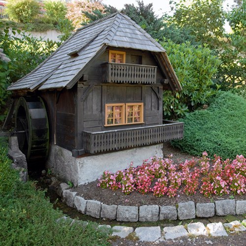 Tree Stump garden