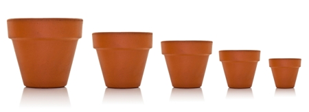 Plant pot