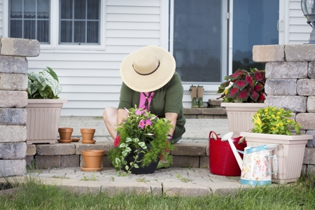 Lady potting plants