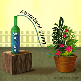 Ways to water plants while you are on vacation