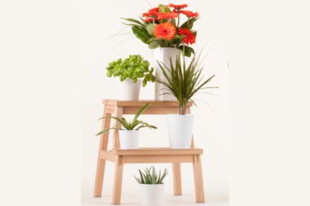 Modern indoor plant stand