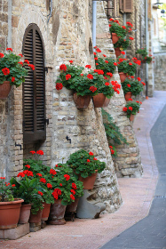 Flower Containers Along The Road