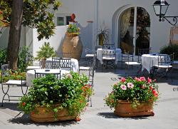 Flower Planters In Patio