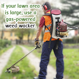 Tip to use a weed wacker