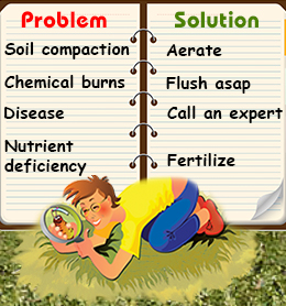 Causes and solutions of yellow spots