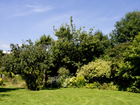 plants and grass can be used for edging