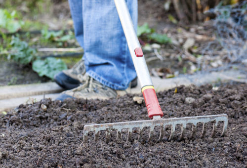 Landscape Rake