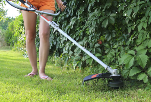 String Trimmer