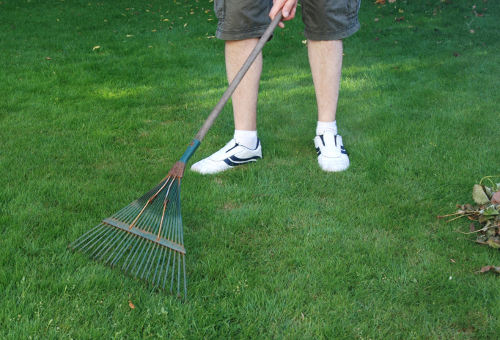 Leaf Rake