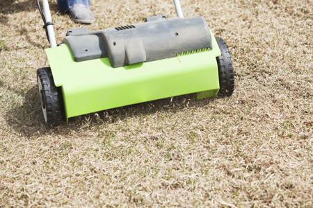 Dethatching Grass