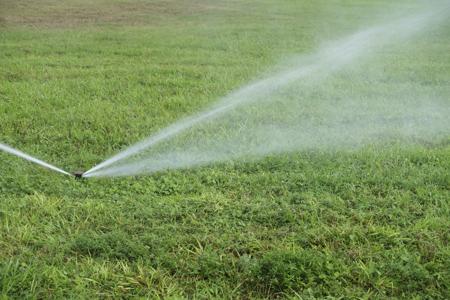 Watering the grass