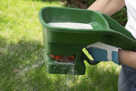 Fertilizing lawn