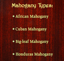 Types of mahogany wood