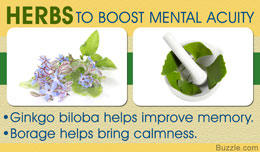 Ginkgo Biloba and Borage help to boost mental acuity