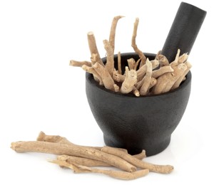 Ginseng Herb