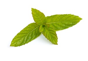 Spearmint Herb