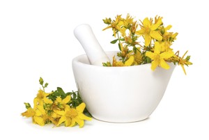 St. John's wort Herb