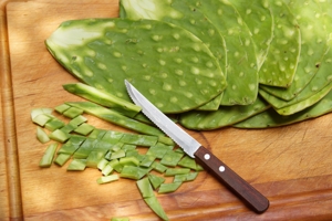 Nopal leaves