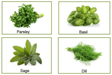 Types of herbs