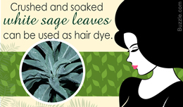 Use of white sage