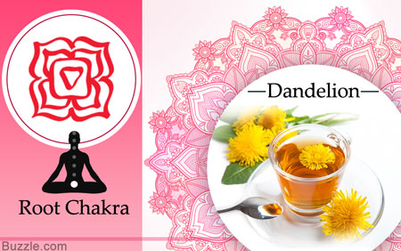 root chakra and dandelion herb