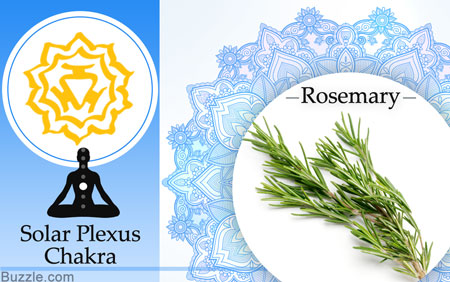 Solar plexus chakra and rosemary herb