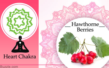 Heart chakra and Hawthorne berries